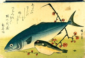 广重 鱼群 河豚 黄鱼 作者 歌川宏重