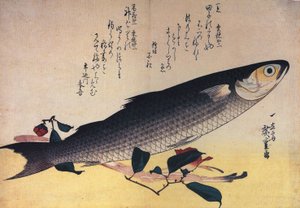 广重 灰色乌鱼和山茶花 作者 歌川宏重