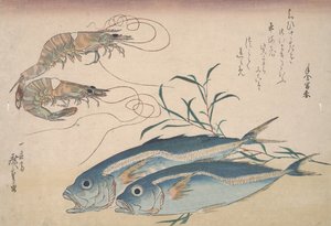 马鲭鱼，淡水虾和海藻，c.1832