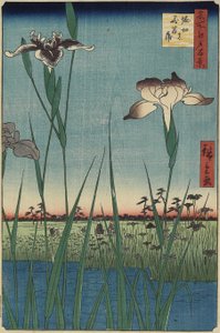 1857年5月在Horikiri的鸢尾花园
