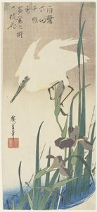 鸢尾和苍鹭，1832-1834