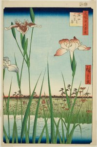 堀切的菖蒲，选自 "名所江户百景 "系列 作者 歌川宏重