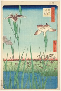 堀切的菖蒲，选自 "名所江户百景 "系列 作者 歌川宏重