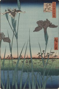 堀切的菖蒲，选自《江户百景》系列 作者 歌川宏重