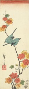 日本白眼在枫树枝上，1854年