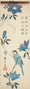 爪哇麻雀和铁线莲 作者 歌川宏重