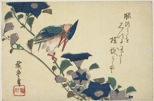 翠鸟和铃兰花 作者 歌川宏重