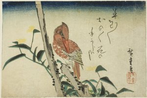 翠鸟和萱草 作者 歌川宏重
