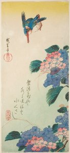 翠鸟和绣球花 作者 歌川宏重