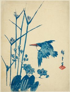 翠鸟和蓑衣 作者 歌川宏重