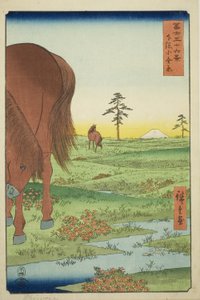 下总省小金平原（下总小金原），选自 "富士山三十六景 "系列 作者 歌川宏重