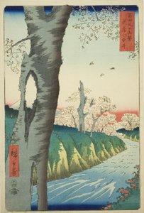 武藏省的小金井（武藏小金井），选自 "富士山三十六景 "系列 作者 歌川宏重