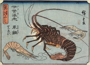 龙虾，虾和虾，1830-1844