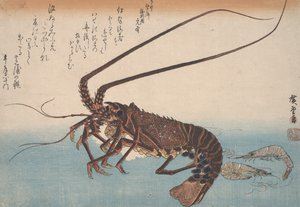 龙虾和虾，c.1832