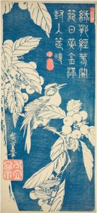 枇杷和鸟 作者 歌川宏重