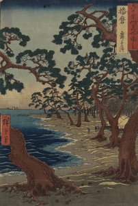 1854年12月，哈里马省的舞妓海滩