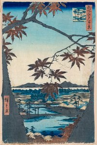 枫叶和特科纳神社以及妈妈的桥，1856-1858。   作者 歌川宏重