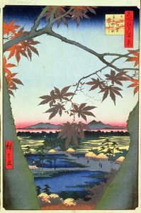 Mam的枫树，Tekona神社和连接的桥，从江户时代，江西时代，Ansei时代，1857年（木刻版） 作者 歌川宏重