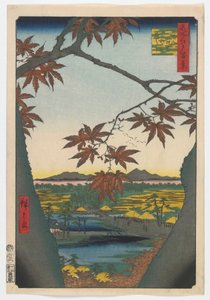 在Mama，Tekona神社和连接桥，江户时代，1857年的枫树（彩色木版画）