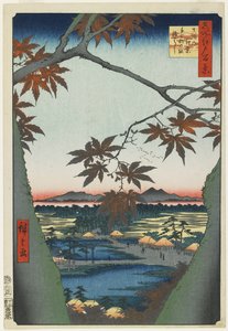 在Mama的槭树与Tekona寺庙和桥梁看法，1857年1月
