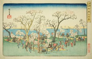 江户名胜 "系列中的 "御殿山游玩"。 作者 歌川宏重