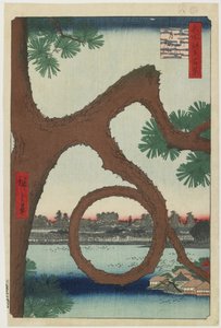 月亮松，上野寺区，1857年8月