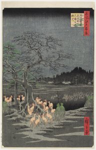 1857年9月，O_ji，荨麻树的新年前夜Foxfires