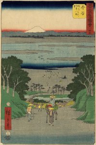 1855年7月，金谷，Oi河25号