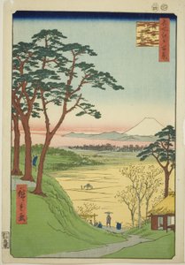 目黑老人茶屋（目黑地支茶屋），选自 "江户百景 "系列 作者 Utagawa Hiroshige