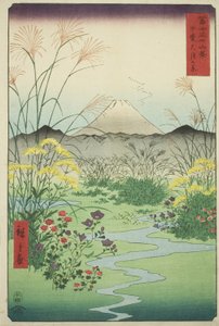 海省大月平原（海大月之原），选自 "富士山三十六景 "系列 作者 歌川宏重