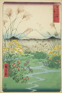 海省大月平原（海大月之原），选自 "富士山三十六景 "系列 作者 歌川宏重
