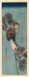 猫头鹰在松枝上，1833年（彩色木版画） 作者 歌川宏重
