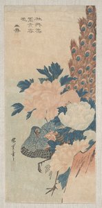 孔雀和牡丹，1830年