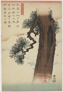 松树，1837-1844（彩色木版画）