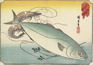 虾和黄尾，19世纪初