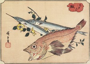 Rockfish和Halfbeak，19世纪初