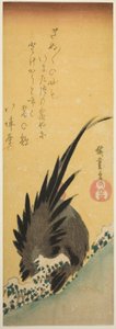 冬天山坡上的公鸡 作者 歌川宏重