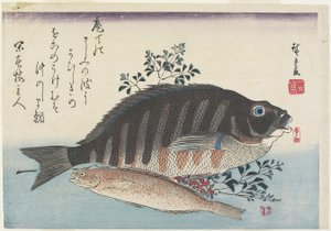 海鲷，香鱼和南迪纳树枝，c。 1840