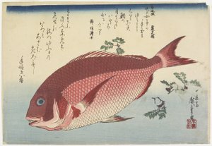 海鲷和Sansho_Sprigs，c。 1832