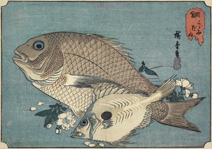 海鲷，19世纪初