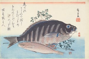 Shimadai和Ainame，来自Utagawa学校的“大鱼”系列，c。 1840-42（木版手工彩色印刷品）