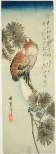 小角鸮、松树和新月 作者 歌川宏重