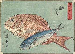 鲷鱼和马鲭鱼，1830-1844