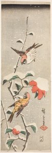 雪中的麻雀和山茶花 作者 歌川宏重
