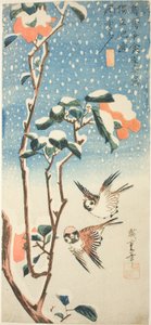 雪中的麻雀和山茶花 作者 歌川宏重