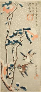 雪中的麻雀和山茶花 作者 歌川宏重
