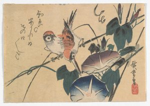 江户时代的麻雀和牵牛花，19世纪30年代后期（彩色木版画）
