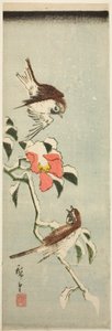 雪中的麻雀和山茶花 作者 歌川宏重