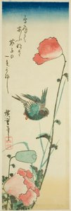燕子和罂粟花 作者 歌川宏重