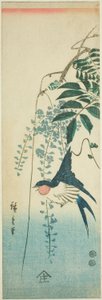 燕子和紫藤 作者 歌川宏重
